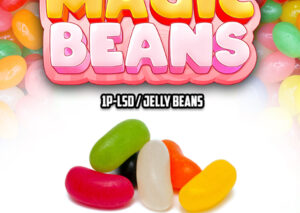 1P LSD Magic Beans